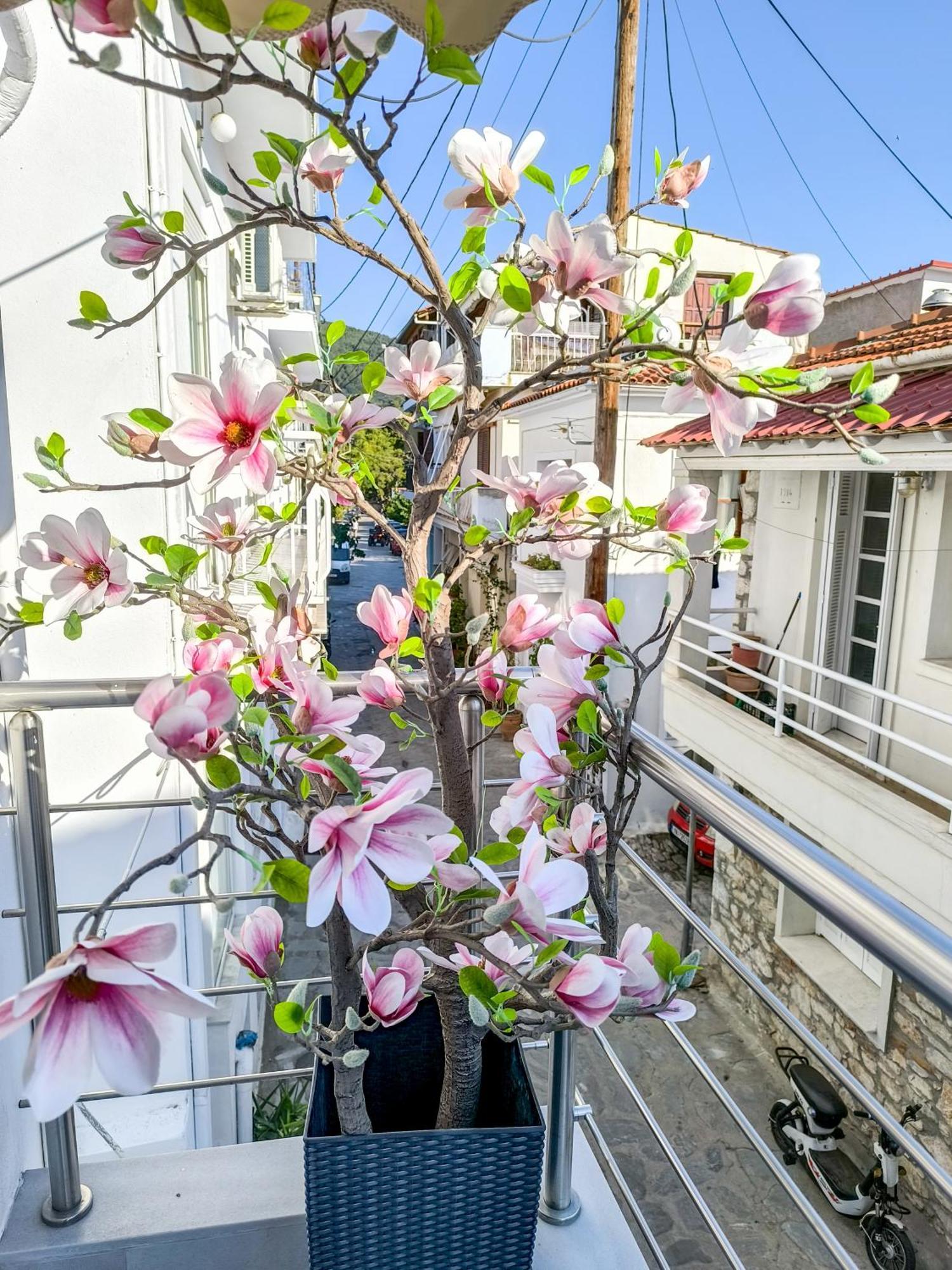 Ermina House Holiday home